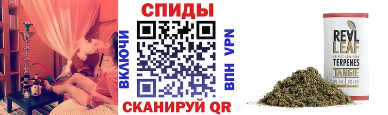 наркотики  Лесозаводск  БУТИРАТ жидкий экстази 