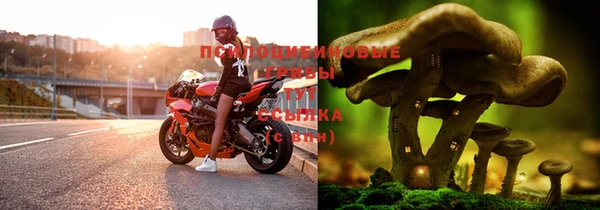 молекула духа Абинск