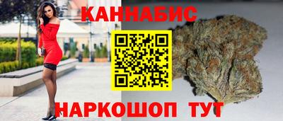 стафф Гусев