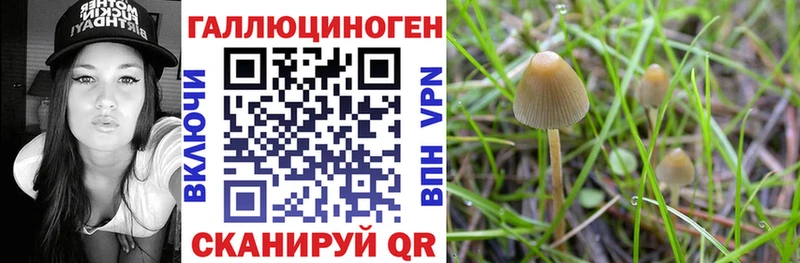 Псилоцибиновые грибы Magic Shrooms  Лесозаводск 