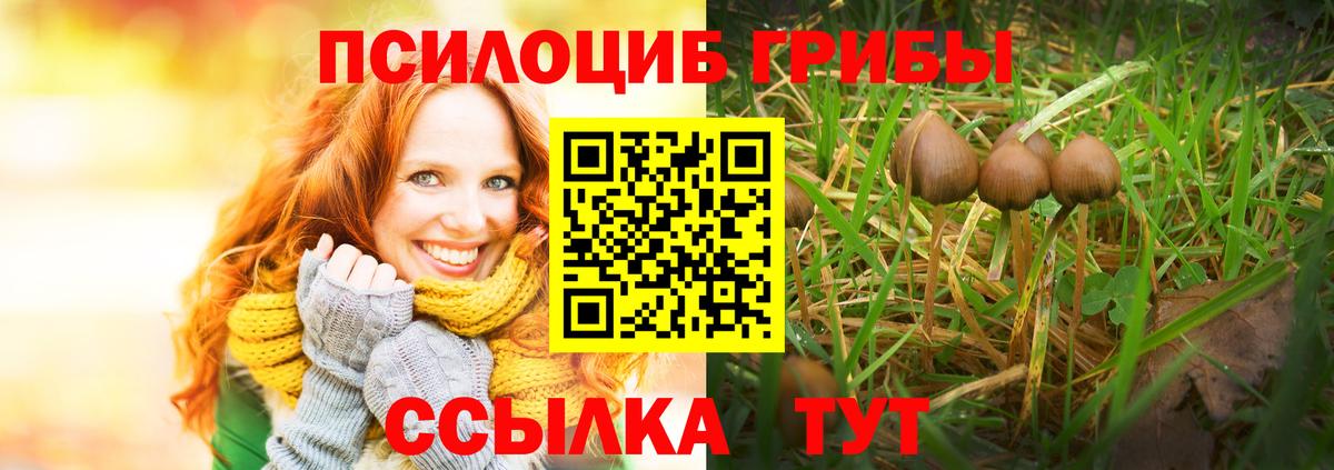 Лесозаводск  Галлюциногенные грибы Psilocybine cubensis  Вход с VPN 
